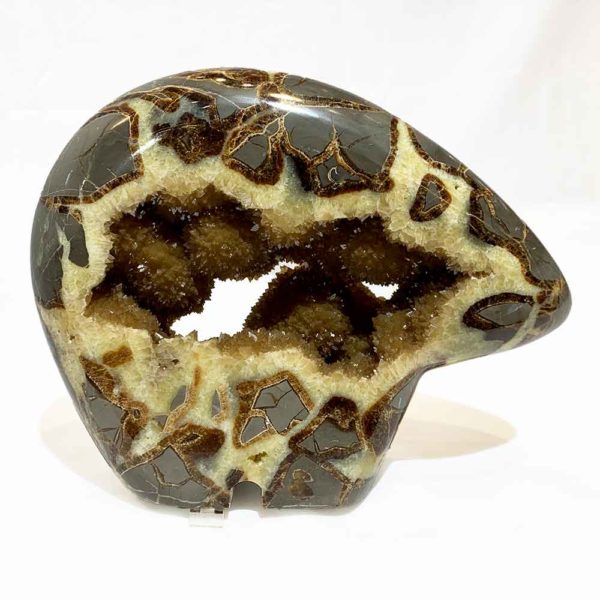 Agate Designs Septarian Bear Front